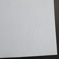 <font color=006633>$80/pd</font><BR>防複印紙<BR>A4 (100gsm)